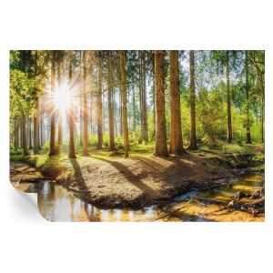 Papel de parede autocolante idílio na floresta 104x152 tulup