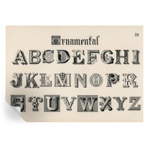 Papel parede adesivo letras decorativas 208x146 tulup