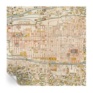 Papel de parede adesivo mapa antigo 250x250 tulup