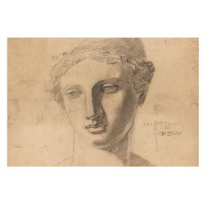Papel de parede tnt 312x219 retrato feminino tulup