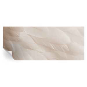 Papel de parede vinílico penas etéreas 250x104 tulup
