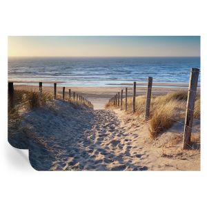 Papel de parede adesivo caminho da praia 208x146 tulup