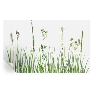Papel de parede vinílico flora sutil 416x254 tulup