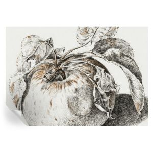 Papel de parede autocolante folhas de maçã 208x146 tulup