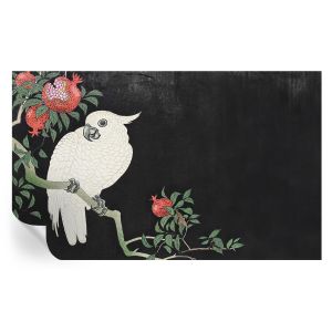 Papel parede adesivo papagaio-romã 416x254 tulup