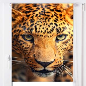 Estoralis | estor enrollable personalizado a-122 80x150 multicolor