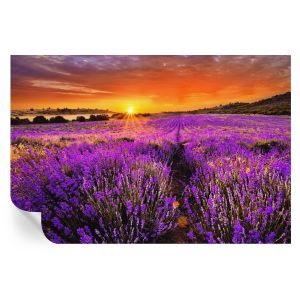 Papel de parede vinílico pôr do sol lavanda 104x152 tulup