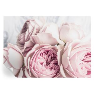 Papel de parede autocolante rosas cor-de-rosa 208x146 tulup