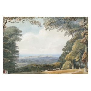 Papel de parede tecido não tecido 250x250 paisagem arborizada tulup