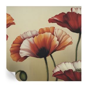 Papel parede adesivo papoulas alegres 250x250 tulup