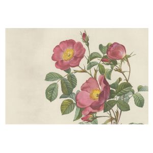 Papel de parede tecido não tecido 312x219 motivo de rosa tulup