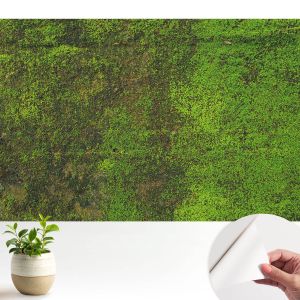 Papel de parede autocolante tapete verde 250x250 tulup