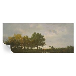 Papel parede adesivo paisagem florestal 250x104 tulup