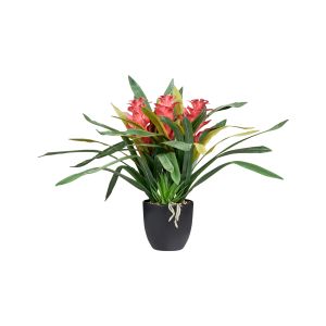 Planta artificial guzmania atilla 50 cm verde