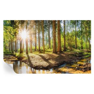 Papel de parede autocolante idílio na floresta 416x254 tulup