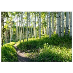 Papel de parede natureza floresta 250x175 não tecido fotomural para quarto