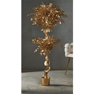 Ficus benjamin gold, planta de 154 cm (78 x 154 cm).
