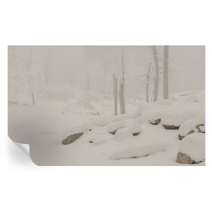 Papel de parede autocolante floresta nevada 416x254 tulup