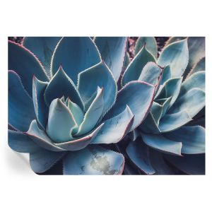 Papel de parede autocolante babosa verde 208x146 tulup