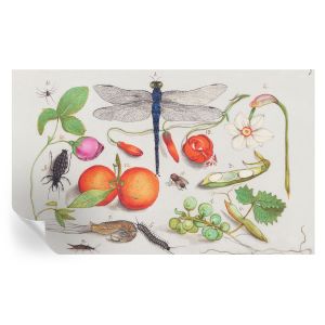 Papel de parede autocolante ilustração da natureza 416x254 tulup