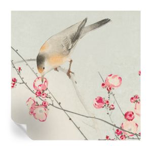Papel de parede autocolante pássaro florido 250x250 tulup