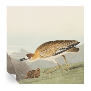 Papel de parede vinílico pássaro da montanha 250x250 tulup