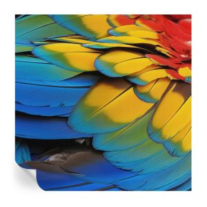 Papel parede adesivo penas de arco-íris 250x250 tulup