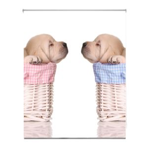 Estoralis | estor enrollable personalizado a-1063 150x250 multicolor