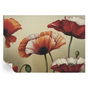 Papel parede adesivo papoulas alegres 208x146 tulup