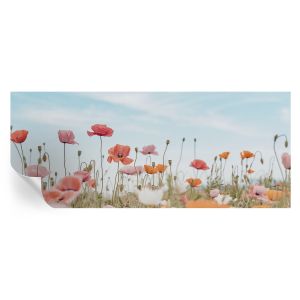 Papel parede adesivo flores de papoula 250x104 tulup