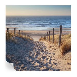Papel de parede adesivo caminho da praia 250x250 tulup