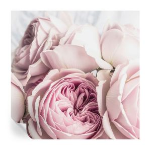 Papel de parede autocolante rosas cor-de-rosa 250x250 tulup