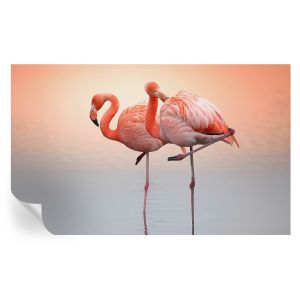 Papel de parede vinílico flamingos delicados 416x254 tulup