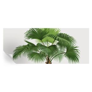 Papel de parede vinílico palmeira exótica 250x104 tulup