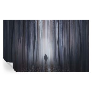 Papel parede adesivo silêncio da floresta 416x254 tulup