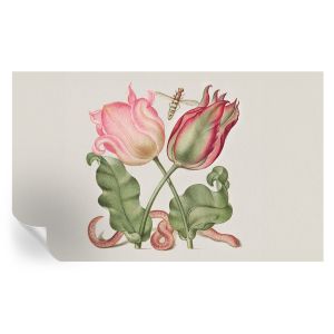 Papel de parede vinílico beleza da tulipa 416x254 tulup