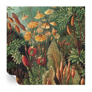 Papel parede adesivo jardim exótico 250x250 tulup