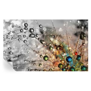 Papel de parede autocolante eu orvoo joias 416x254 tulup