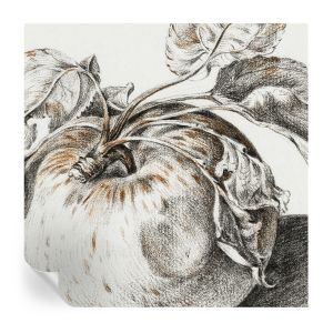 Papel de parede autocolante folhas de maçã 250x250 tulup