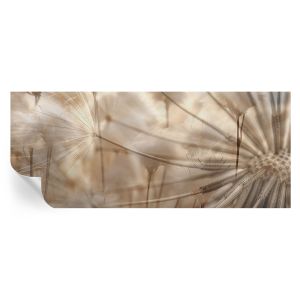 Papel parede adesivo dentes-de-leão sutis 250x104 tulup