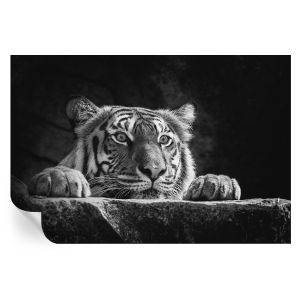 Papel de parede vinílico olhar predatório 104x152 tulup