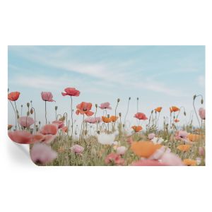 Papel parede adesivo flores de papoula 416x254 tulup