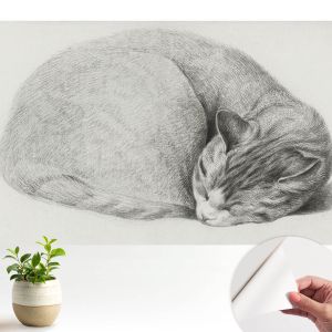 Papel parede adesivo gato enrolado 250x250 tulup