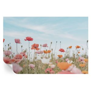 Papel parede adesivo flores de papoula 104x152 tulup