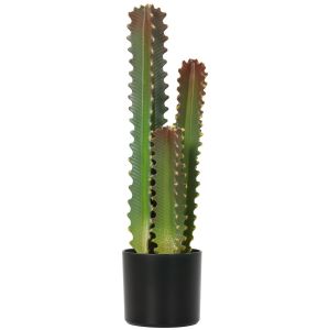 Cato artificial 17x17x66 cm eva, pp color verde Homcom, casa - decoração
