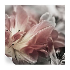 Papel de parede adesivo flor pastel 250x250 tulup