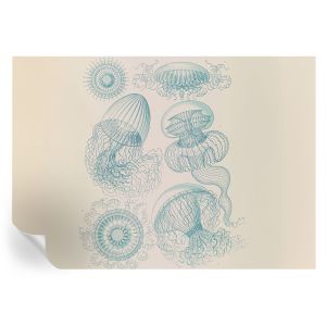 Papel de parede adesivo medusa marinha 208x146 tulup