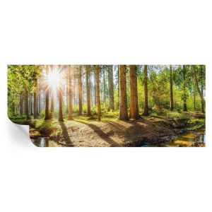 Papel de parede autocolante idílio na floresta 250x104 tulup