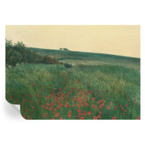 Papel de parede autocolante campos de papoulas 208x146 tulup