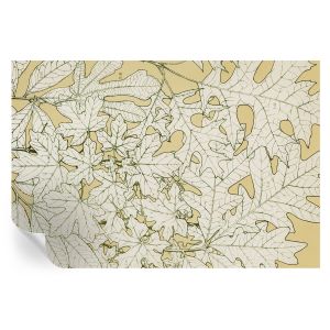 Papel de parede adesivo folhas de árvore 104x152 tulup